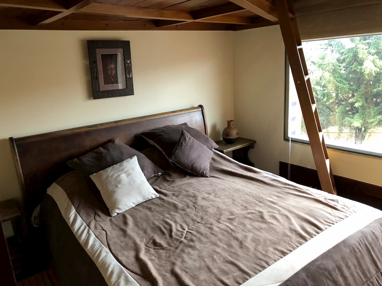 Amplus View 360